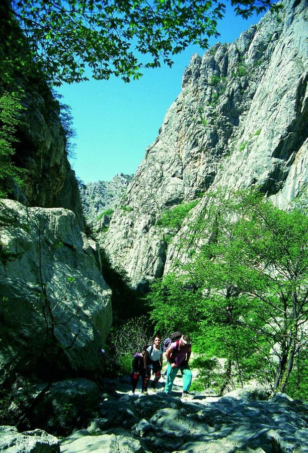 Apartmani Goga Starigrad Paklenica Εξωτερικό φωτογραφία