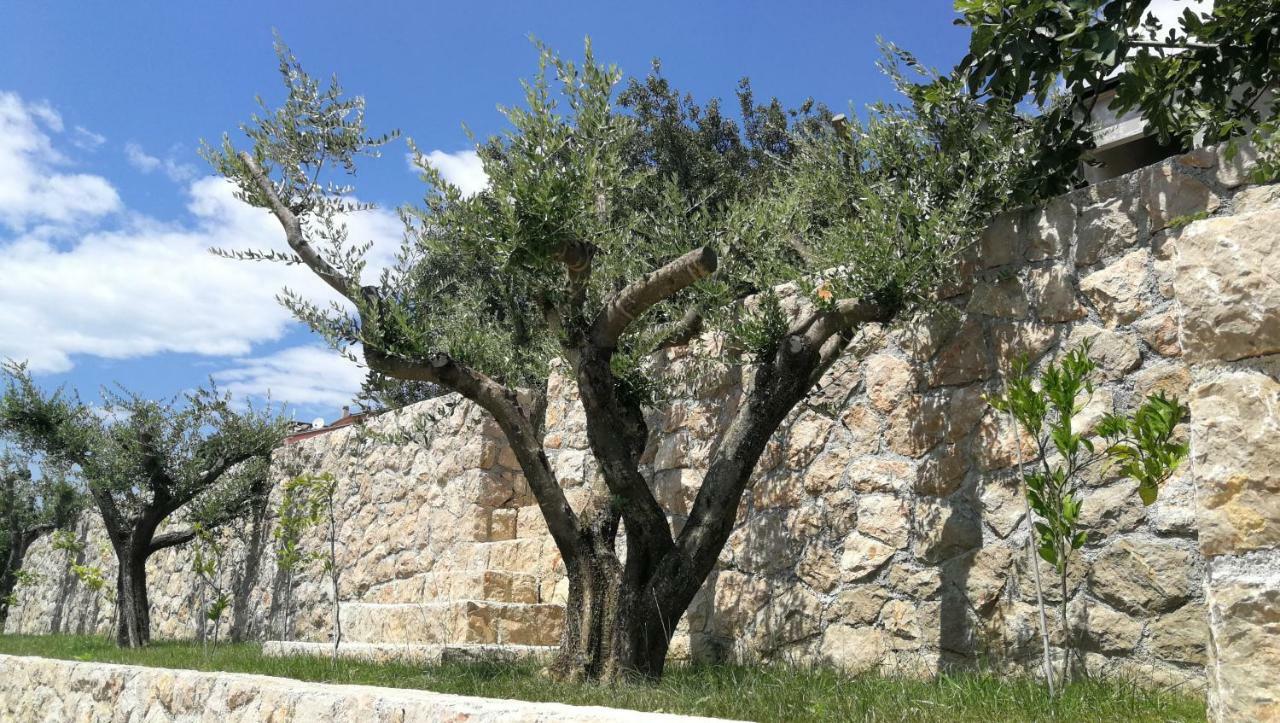 Apartmani Goga Starigrad Paklenica Εξωτερικό φωτογραφία