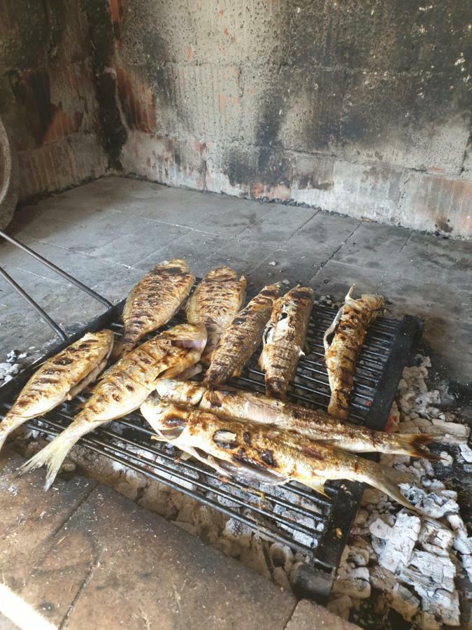 Apartmani Goga Starigrad Paklenica Εξωτερικό φωτογραφία